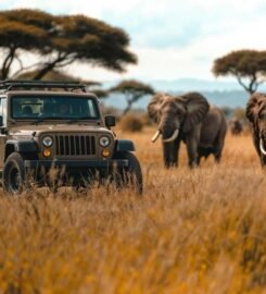 Kasane Safari Tours