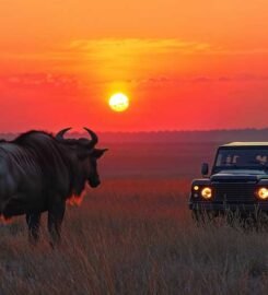 Kasane Safari Tours