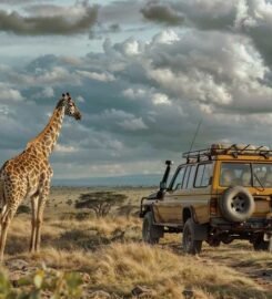 Kasane Safari Tours